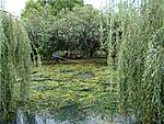 На Лебедином озере косят водоросли.