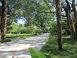 1056_Сухуми ботанический сад