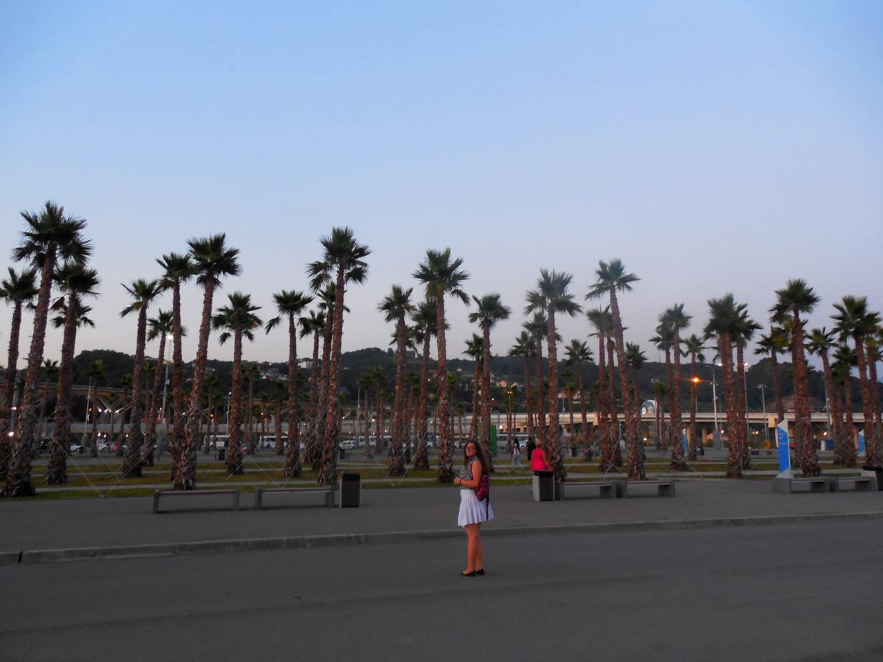 Площадь пальм перед Олимпийским парком