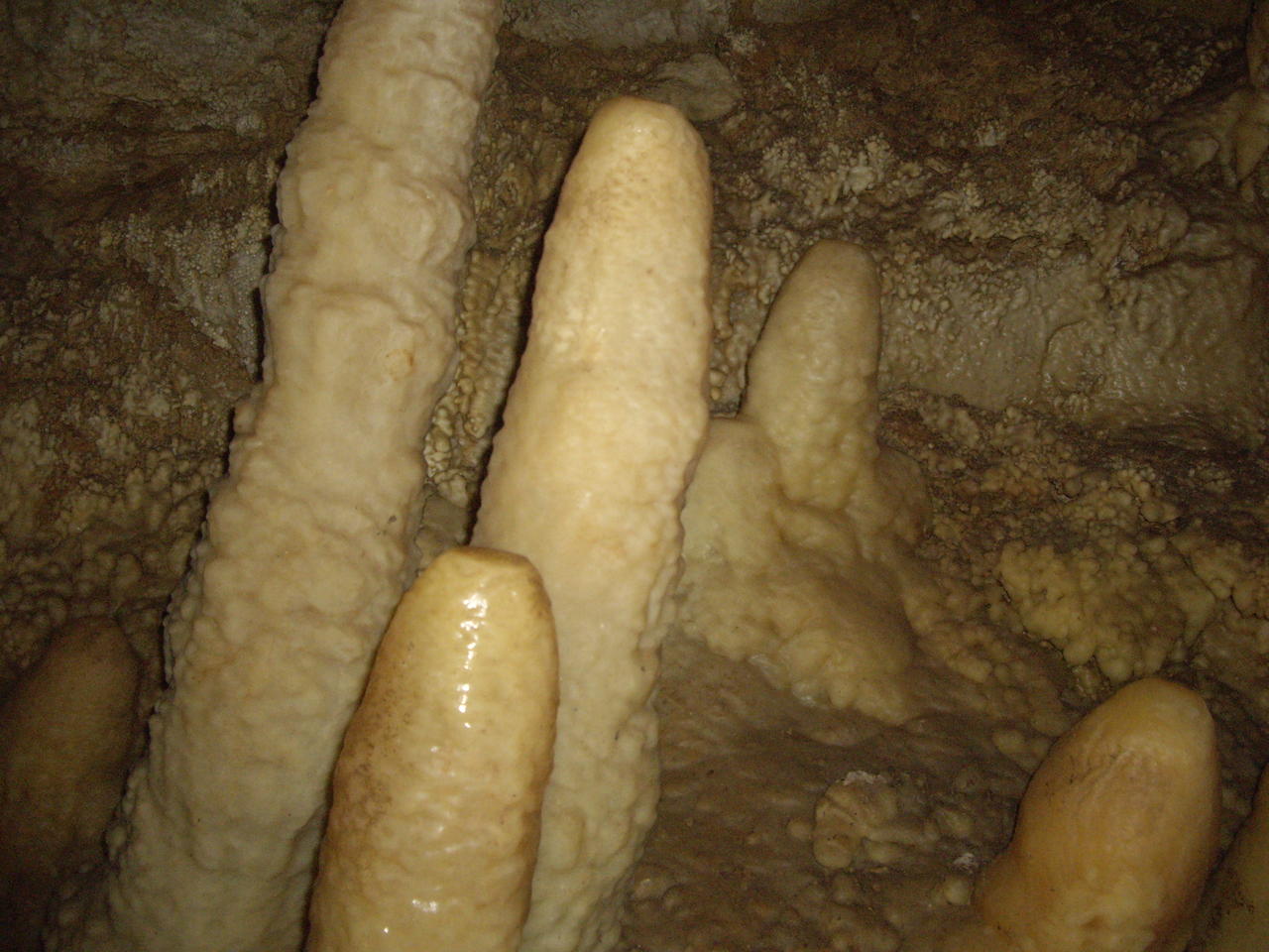 Новоафонская пещера.Сталоктиты